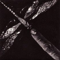 Dotyk, mezzotinta,12,5x 12,5cm, 2007